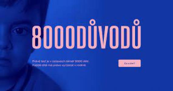 8000 důvodů - závěrečná zpráva - Ilustrační obrázek